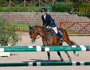 Paini Ottava Meraviglia GioCav2013 S5 4666 : Horses, Ottava Meraviglia, Paini Paolo, ph Stefano Secchi ©